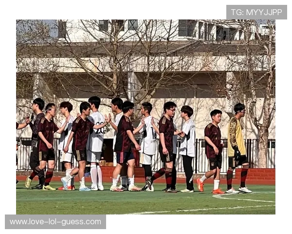 足球迷心中最爱球星揭晓他们背后的故事与成就